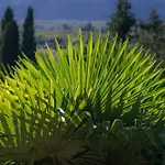 Chateau Du Raysse Vakantiehuis *