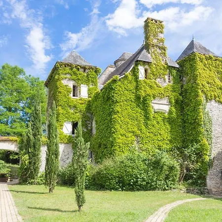 Chateau Du Raysse Holiday home *