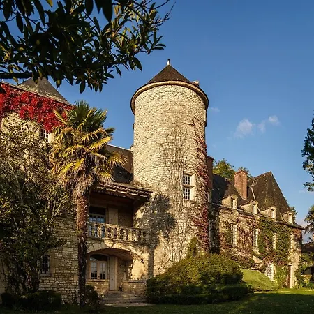 Chateau Du Raysse Holiday home *