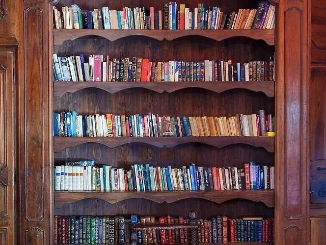 Chateau Du Raysse Vakantiehuis *