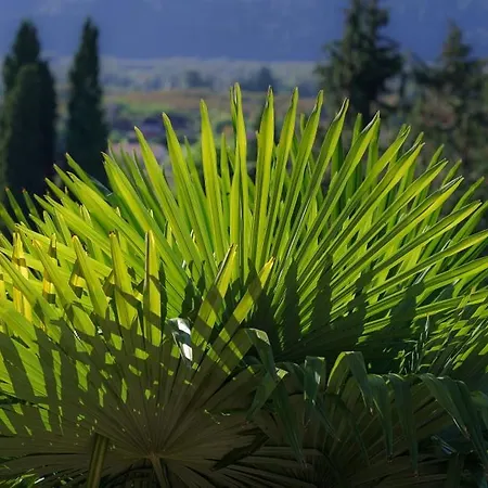 Chateau Du Raysse Casa vacanze *