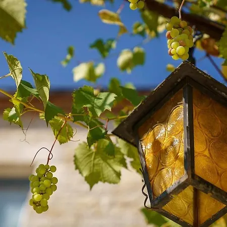 Chateau Du Raysse Cazoules