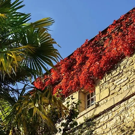 Chateau Du Raysse