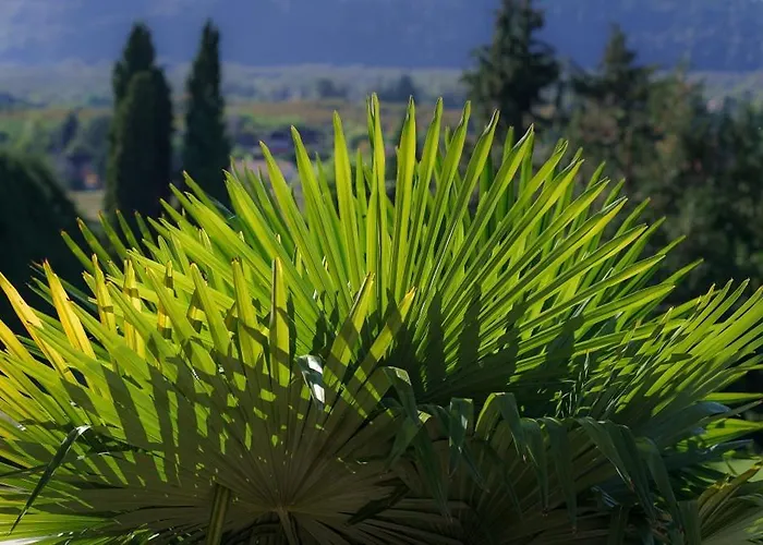 Chateau Du Raysse Holiday home *